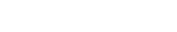 PaloAltoNetworks 2020 Logo